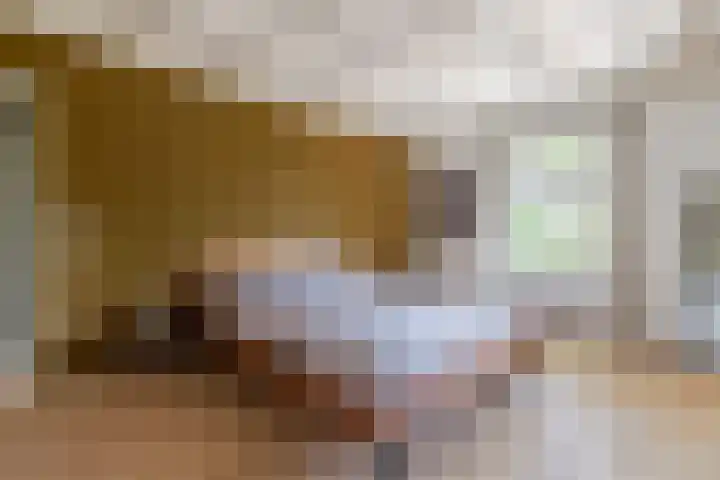 Vinkelsestraat 48 Heesch thumbnail 19