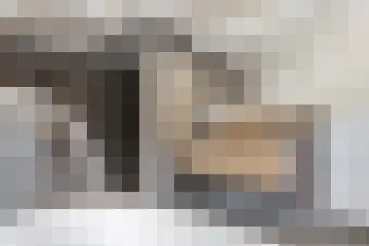 Vinkelsestraat 48 Heesch thumbnail 24