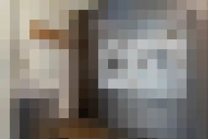 Vinkelsestraat 48 Heesch thumbnail 29