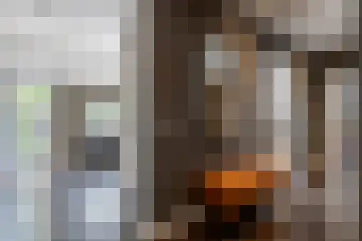 Vinkelsestraat 48 Heesch thumbnail 31