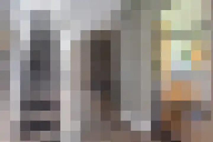 Vinkelsestraat 48 Heesch thumbnail 32