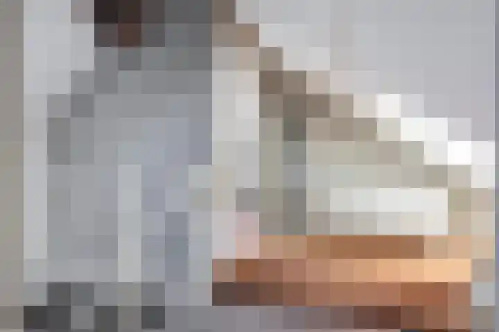 Vinkelsestraat 48 Heesch thumbnail 33