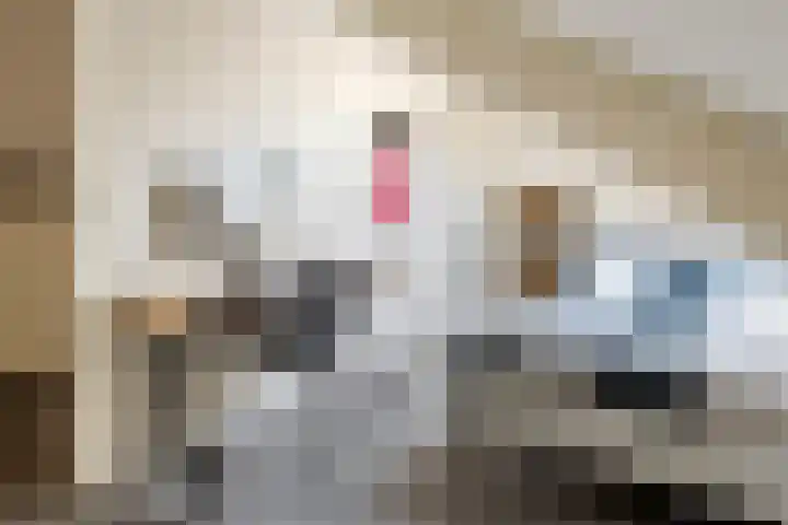 Vinkelsestraat 48 Heesch thumbnail 36