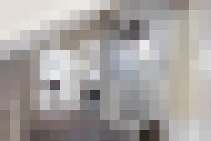 Vinkelsestraat 48 Heesch thumbnail 38