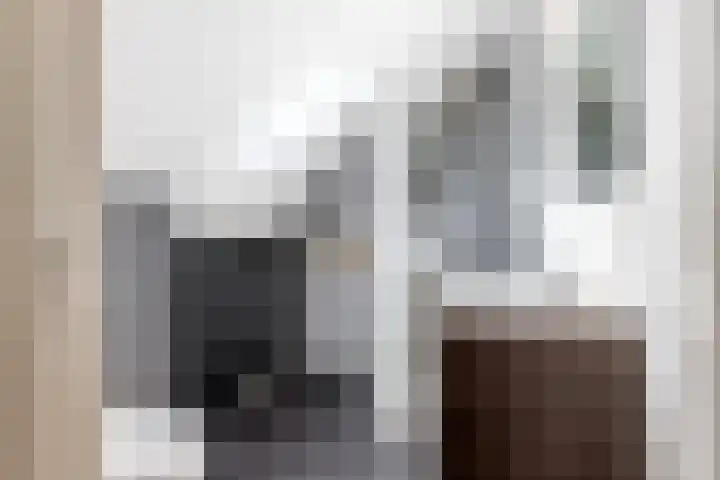 Vinkelsestraat 48 Heesch thumbnail 39