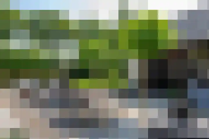 Vinkelsestraat 48 Heesch thumbnail 42