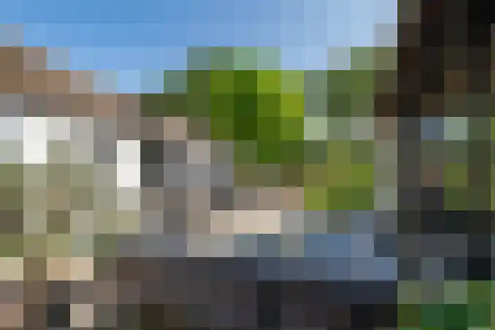 Vinkelsestraat 48 Heesch thumbnail 47