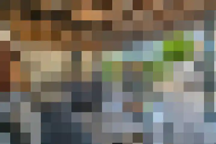 Vinkelsestraat 48 Heesch thumbnail 5