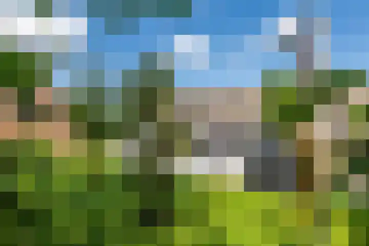 Vinkelsestraat 48 Heesch thumbnail 51