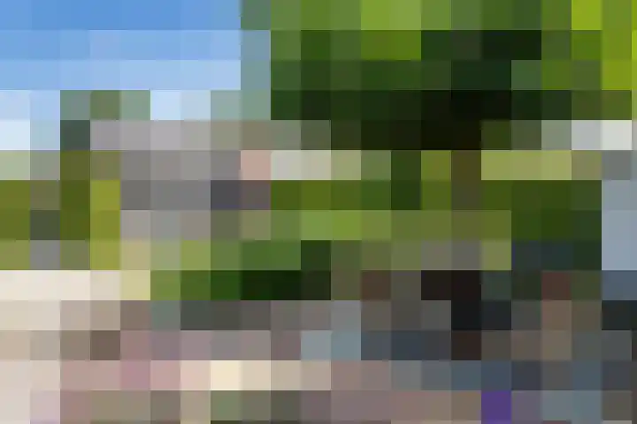 Vinkelsestraat 48 Heesch thumbnail 53