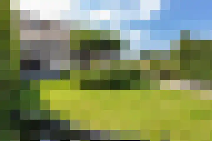 Vinkelsestraat 48 Heesch thumbnail 55