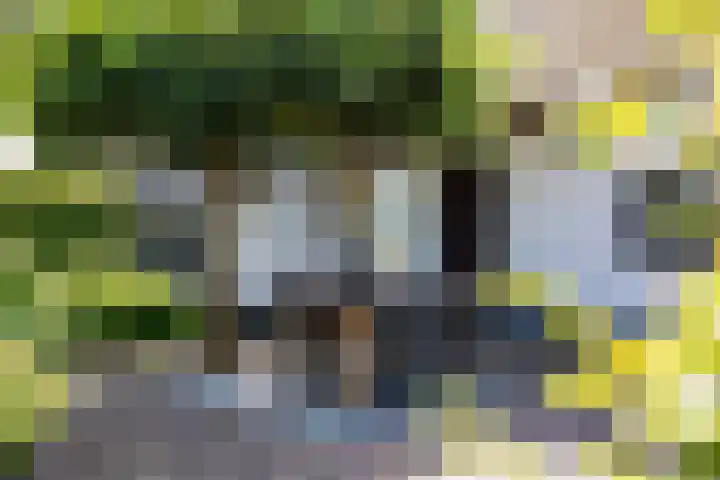 Vinkelsestraat 48 Heesch thumbnail 56