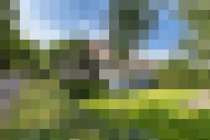 Vinkelsestraat 48 Heesch thumbnail 57