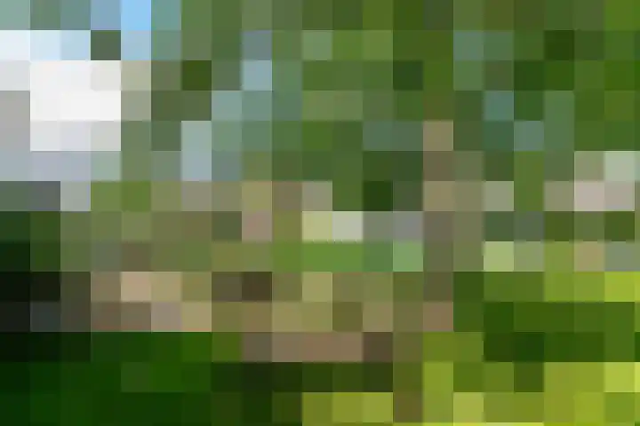 Vinkelsestraat 48 Heesch thumbnail 58