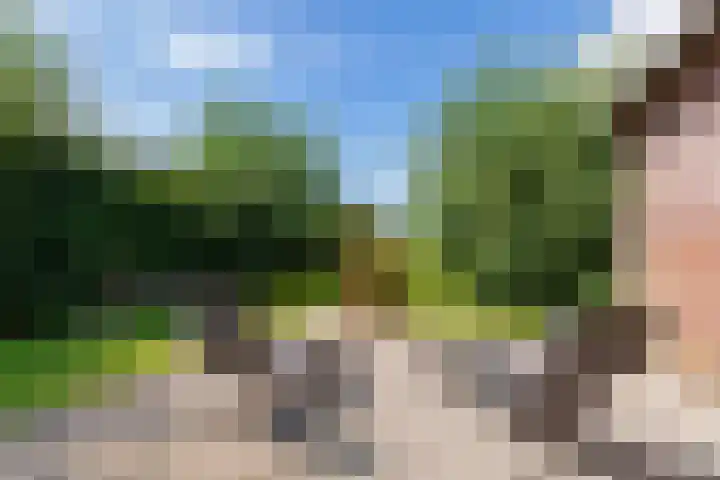 Vinkelsestraat 48 Heesch thumbnail 59