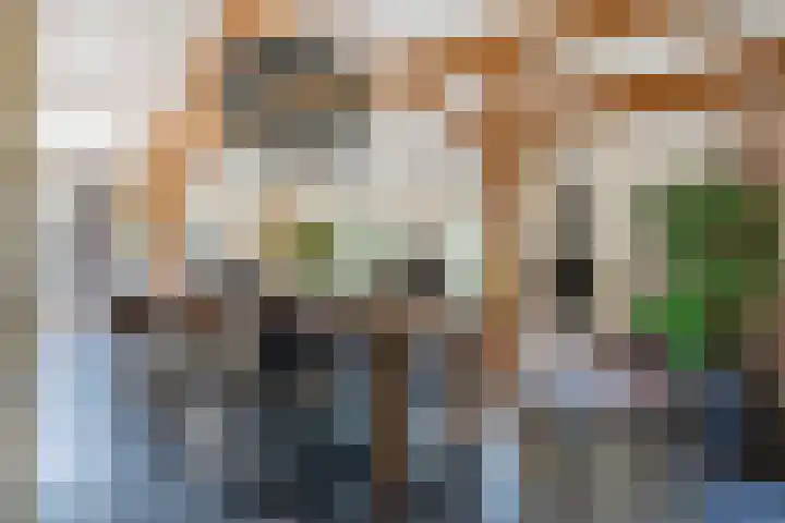Vinkelsestraat 48 Heesch thumbnail 6