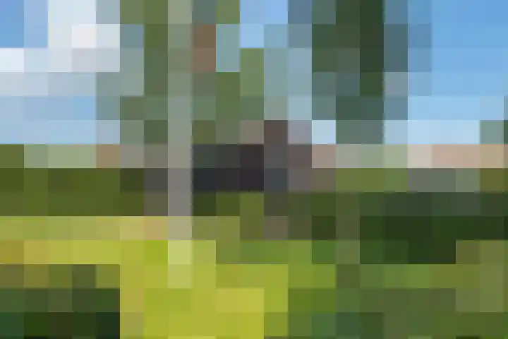 Vinkelsestraat 48 Heesch thumbnail 60