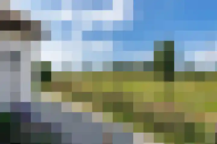 Vinkelsestraat 48 Heesch thumbnail 62