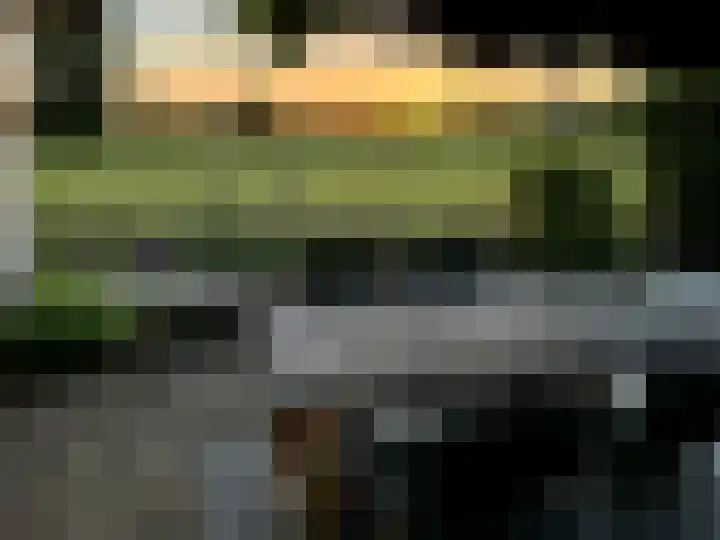 Vinkelsestraat 48 Heesch thumbnail 63