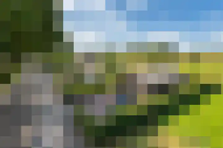 Vinkelsestraat 48 Heesch thumbnail 64