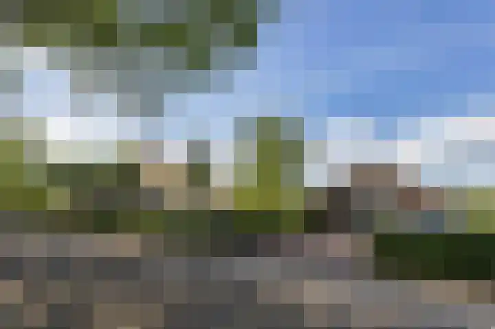 Vinkelsestraat 48 Heesch thumbnail 67
