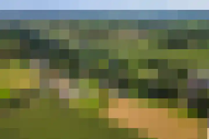 Vinkelsestraat 48 Heesch thumbnail 68