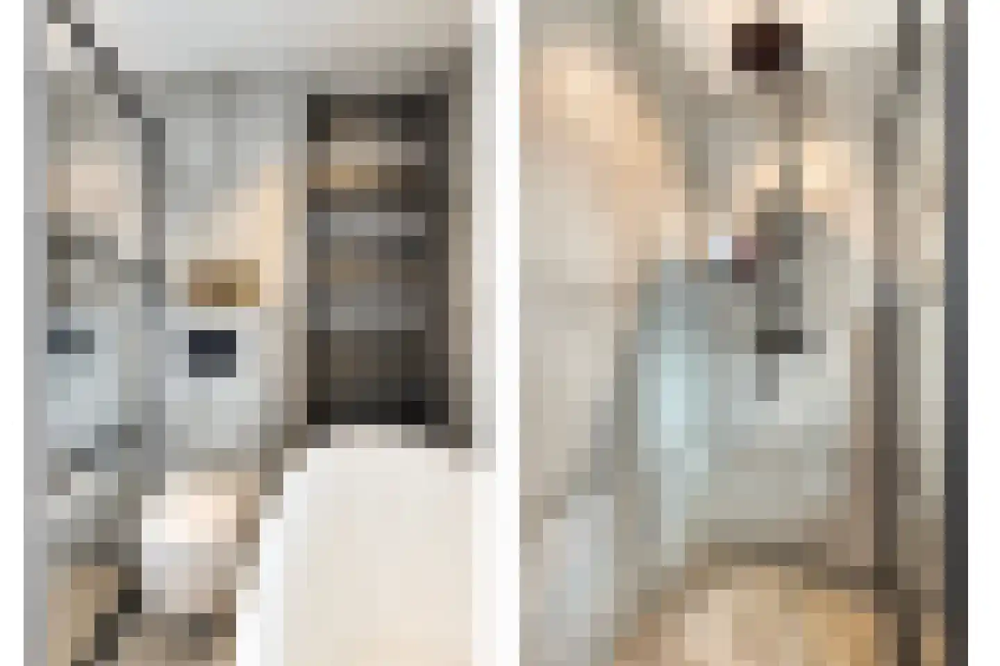 Vinkenakker 6 Rijsbergen thumbnail 14