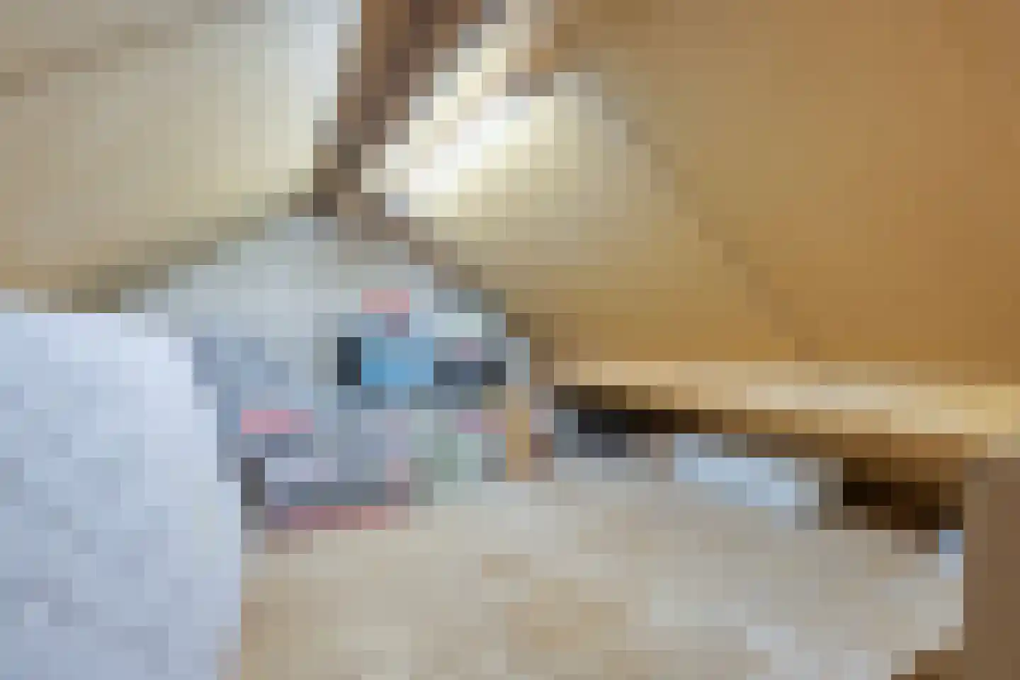 Vinkenakker 6 Rijsbergen thumbnail 22