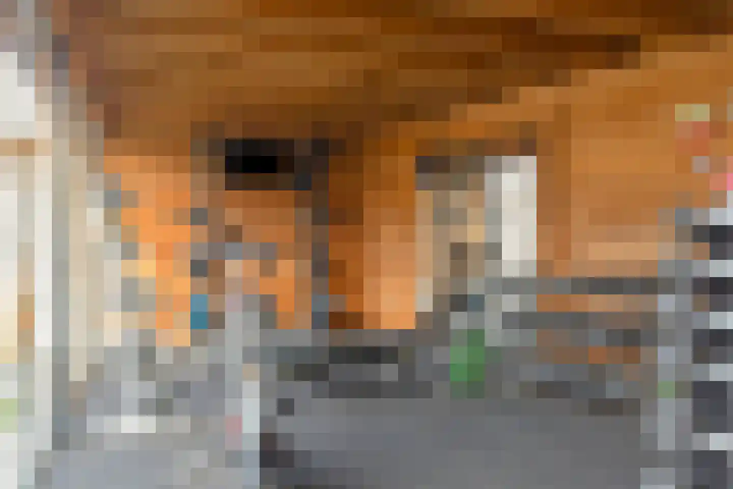 Vinkenakker 6 Rijsbergen thumbnail 28