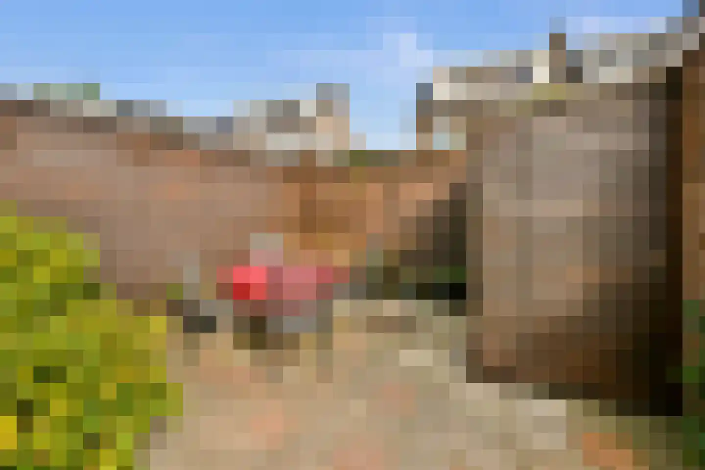 Vinkenbaan 1 Beverwijk thumbnail 20