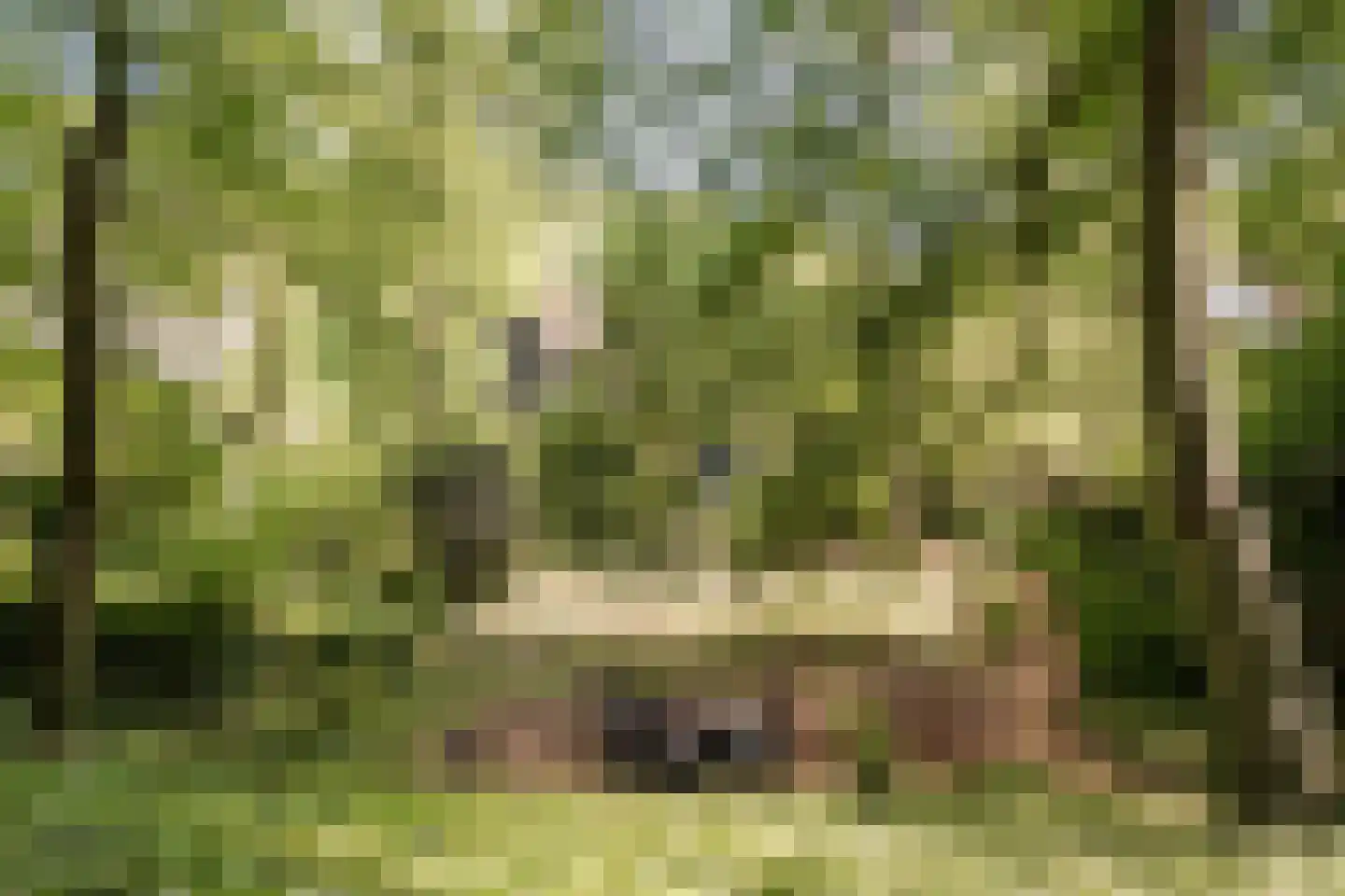 Vinkenbaan 32 Santpoort-Zuid thumbnail 18