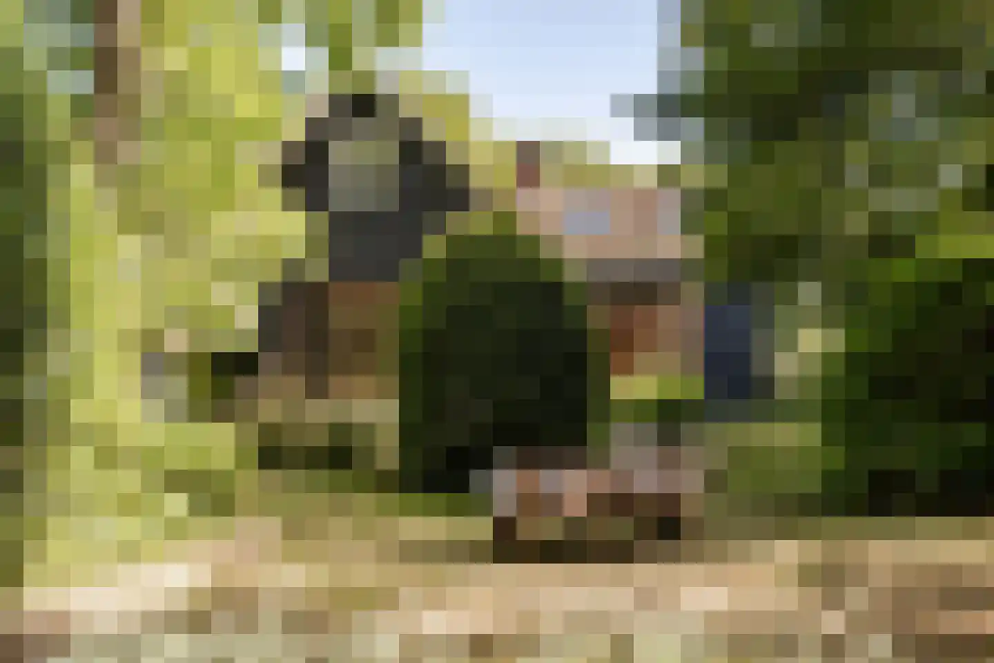 Vinkenbaan 32 Santpoort-Zuid thumbnail 4