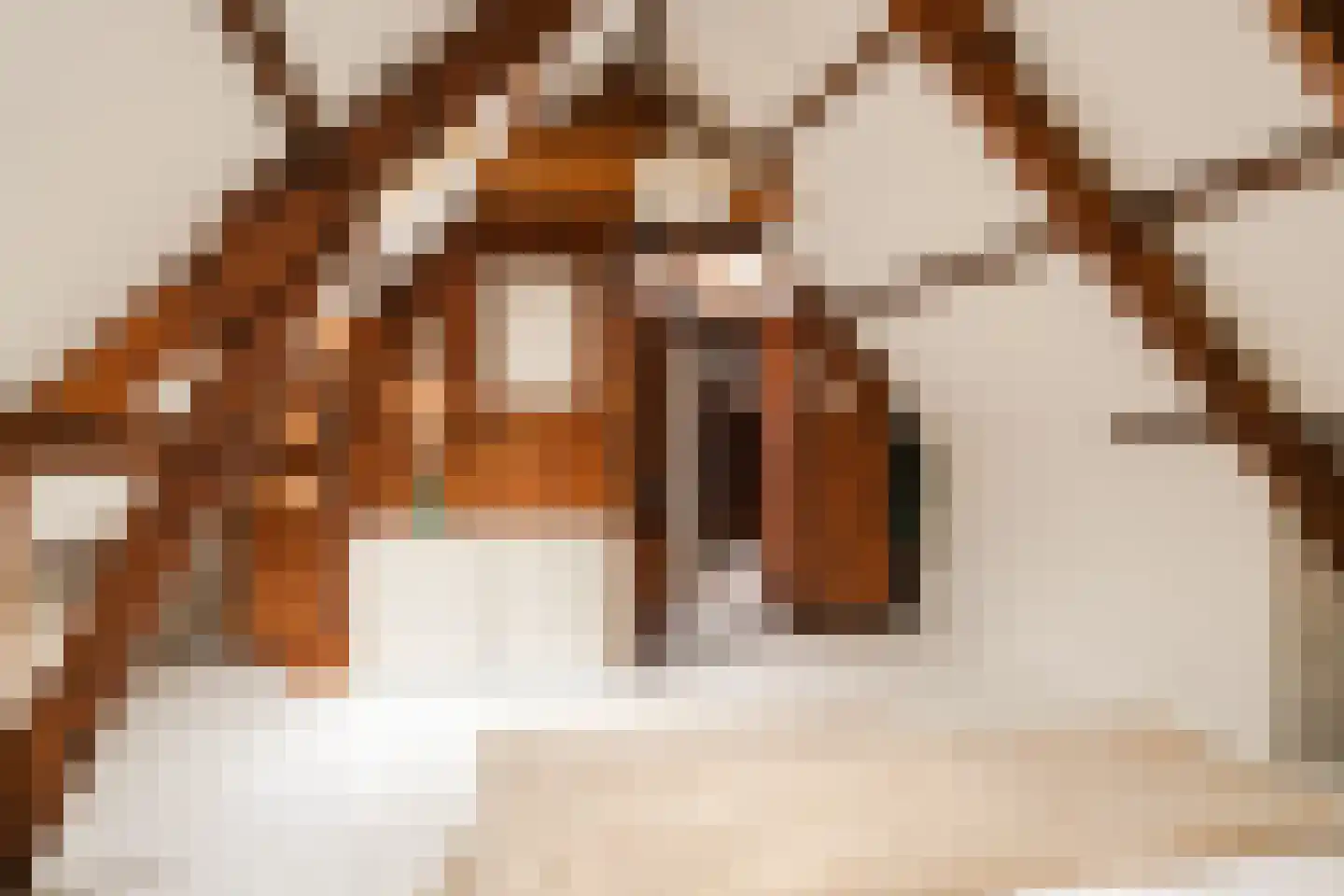 Vinkenbaan 32 Santpoort-Zuid thumbnail 41