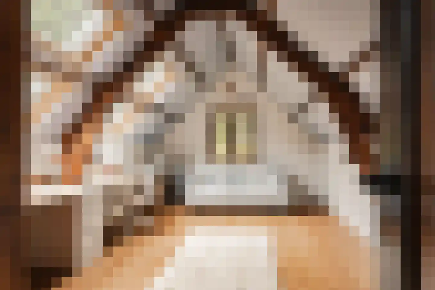 Vinkenbaan 32 Santpoort-Zuid thumbnail 47