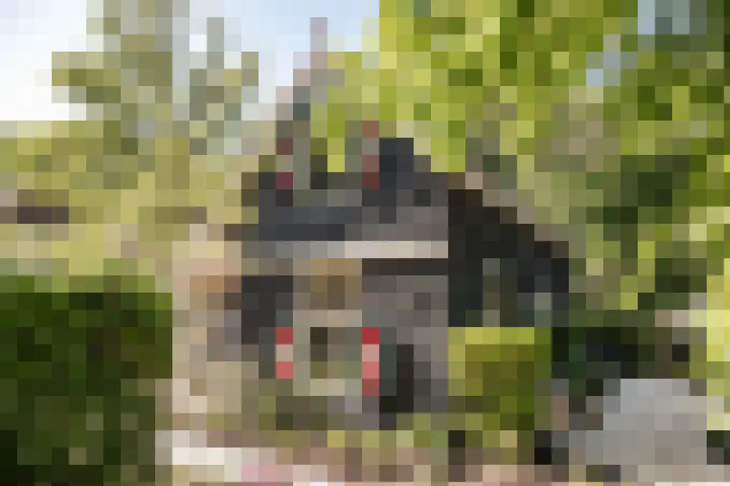 Vinkenbaan 32 Santpoort-Zuid thumbnail 54