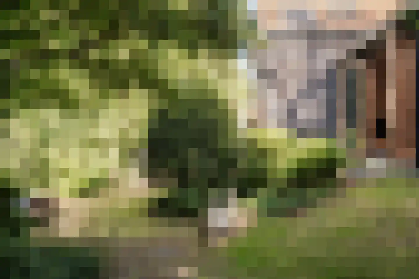 Vinkenbaan 32 Santpoort-Zuid thumbnail 58