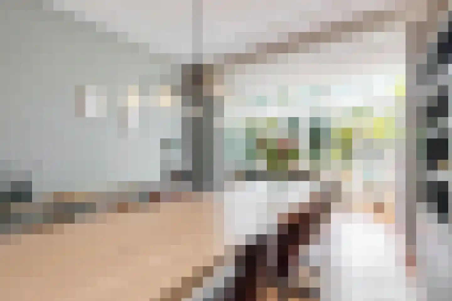 Vinkenbaan 4 Santpoort-Zuid thumbnail 18