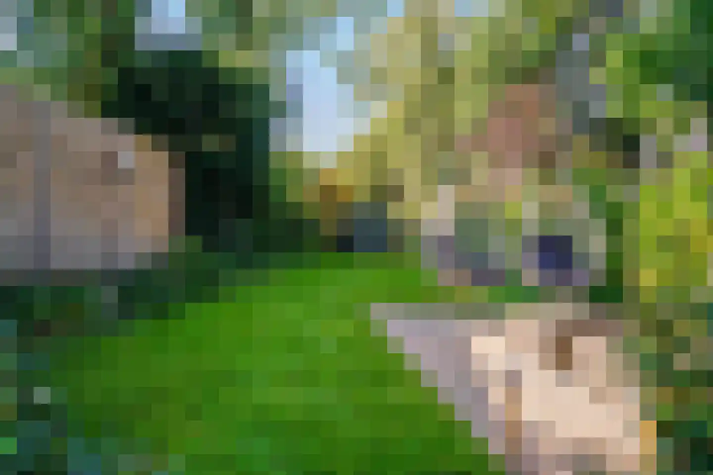 Vinkenbaan 4 Santpoort-Zuid thumbnail 34