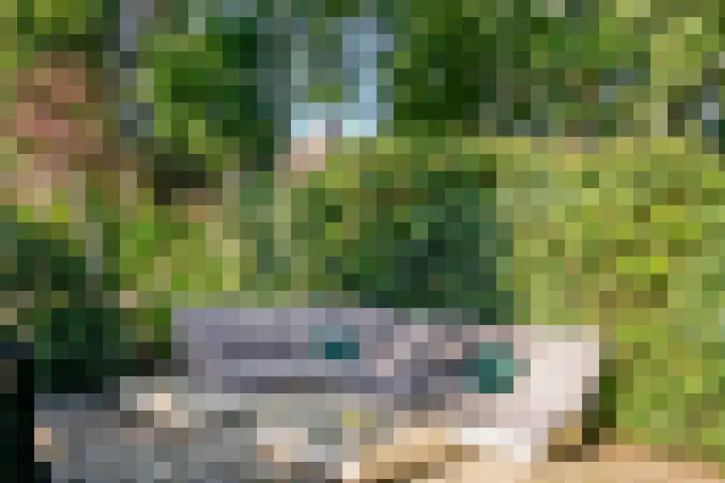 Vinkenbaan 4 Santpoort-Zuid thumbnail 37