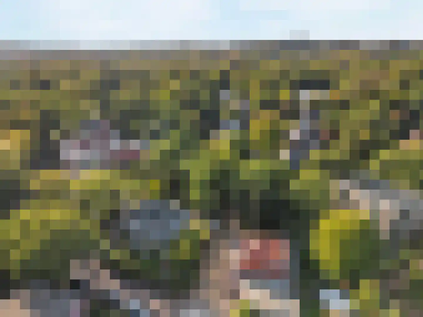 Vinkenbaan 4 Santpoort-Zuid thumbnail 5