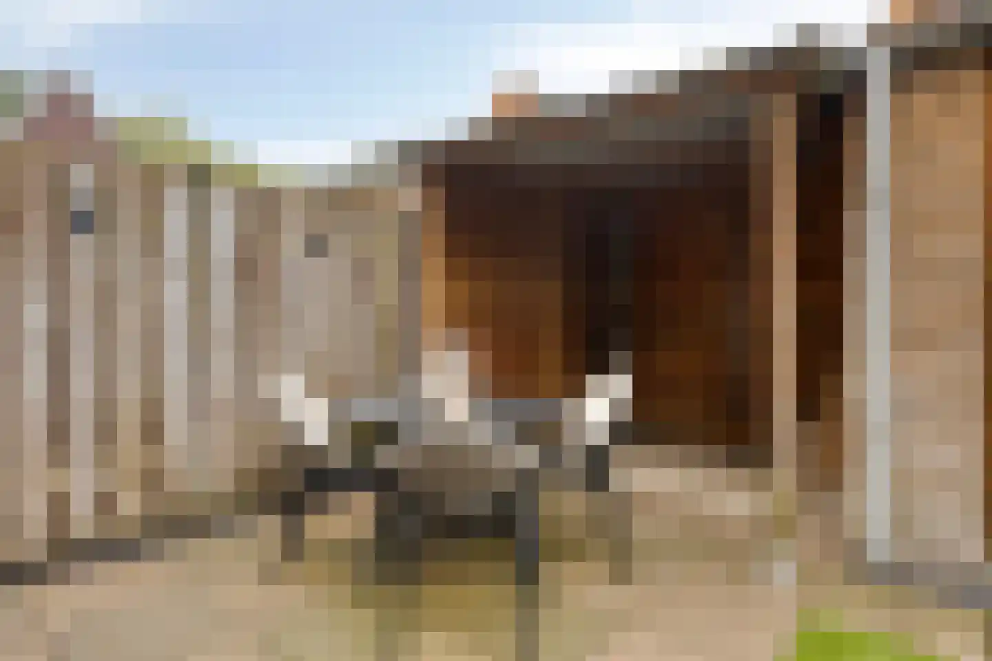 Vinkenbaan 5 Gilze thumbnail 18