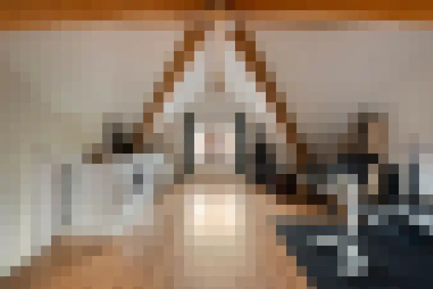 Vinkenbaan 5 Gilze thumbnail 28