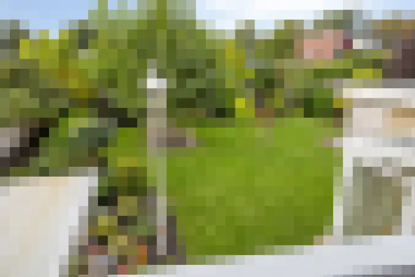 Vinkenbos 16 Ulvenhout thumbnail 21