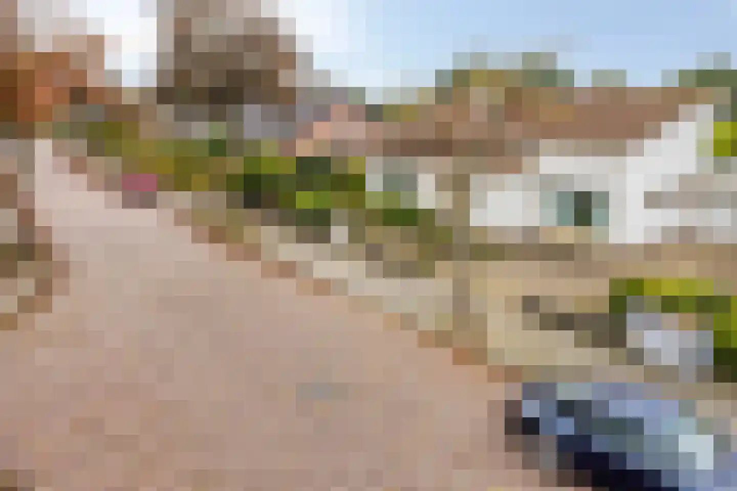 Vinkenbos 16 Ulvenhout thumbnail 35