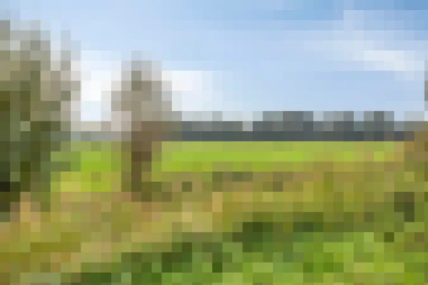 Vinkenbos 16 Ulvenhout thumbnail 37