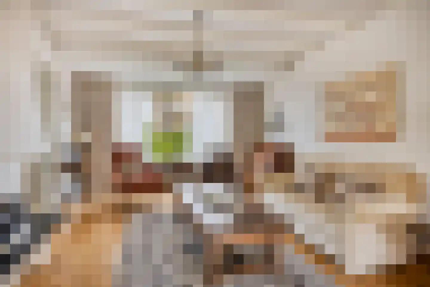 Vinkenbos 16 Ulvenhout thumbnail 6