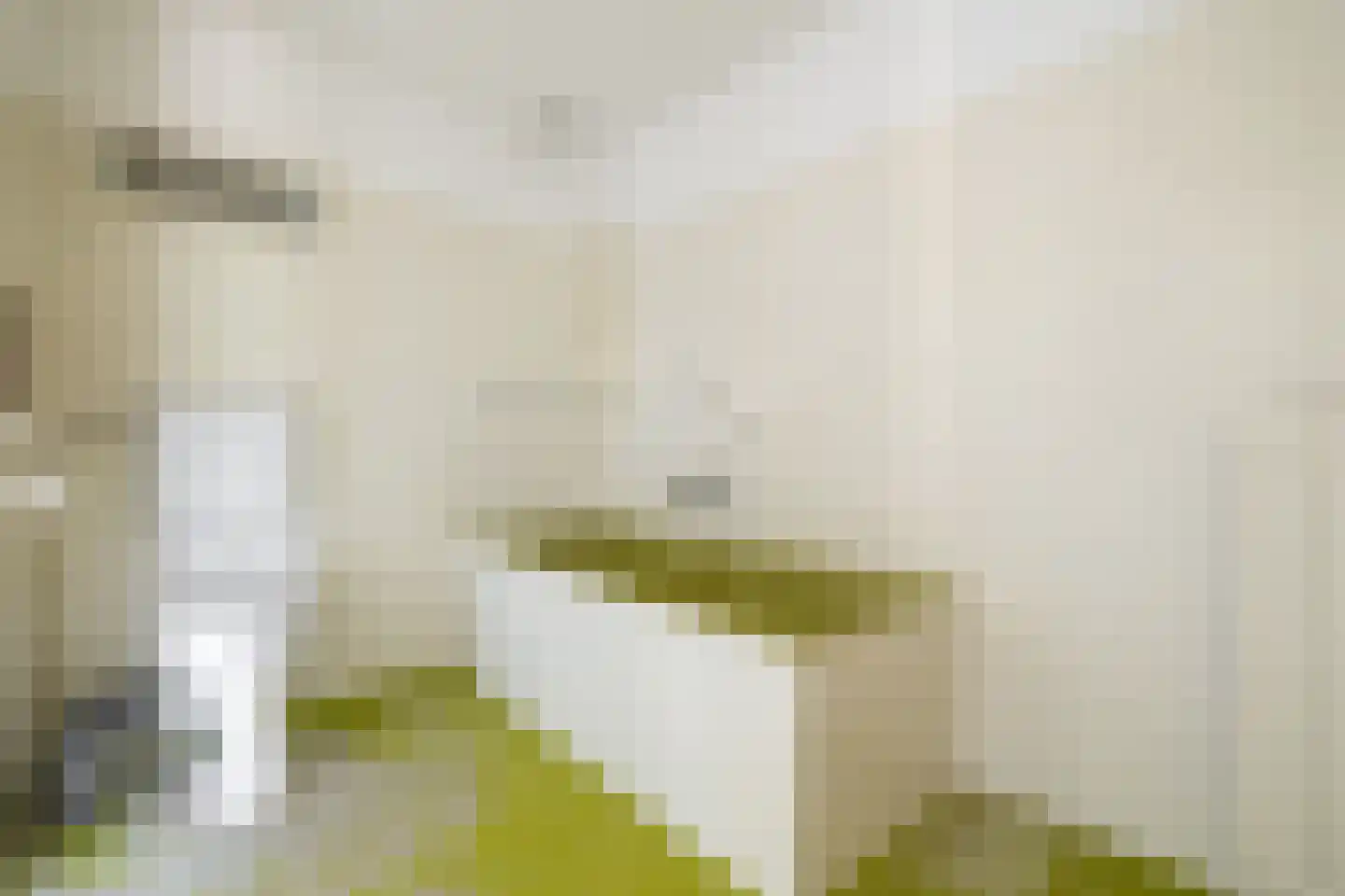 Vinkenbos 25 Ulvenhout thumbnail 23