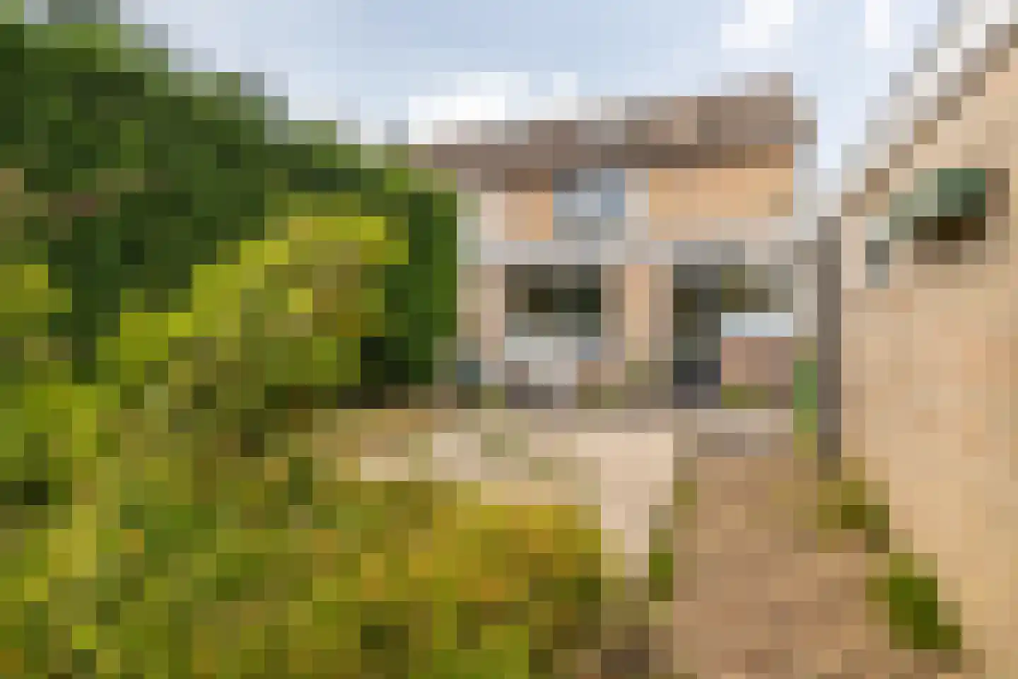 Vinkenbos 25 Ulvenhout thumbnail 29