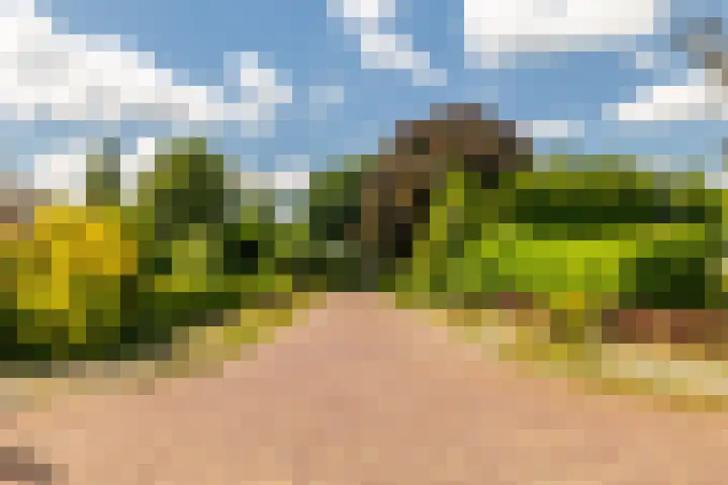 Vinkenbos 25 Ulvenhout thumbnail 7