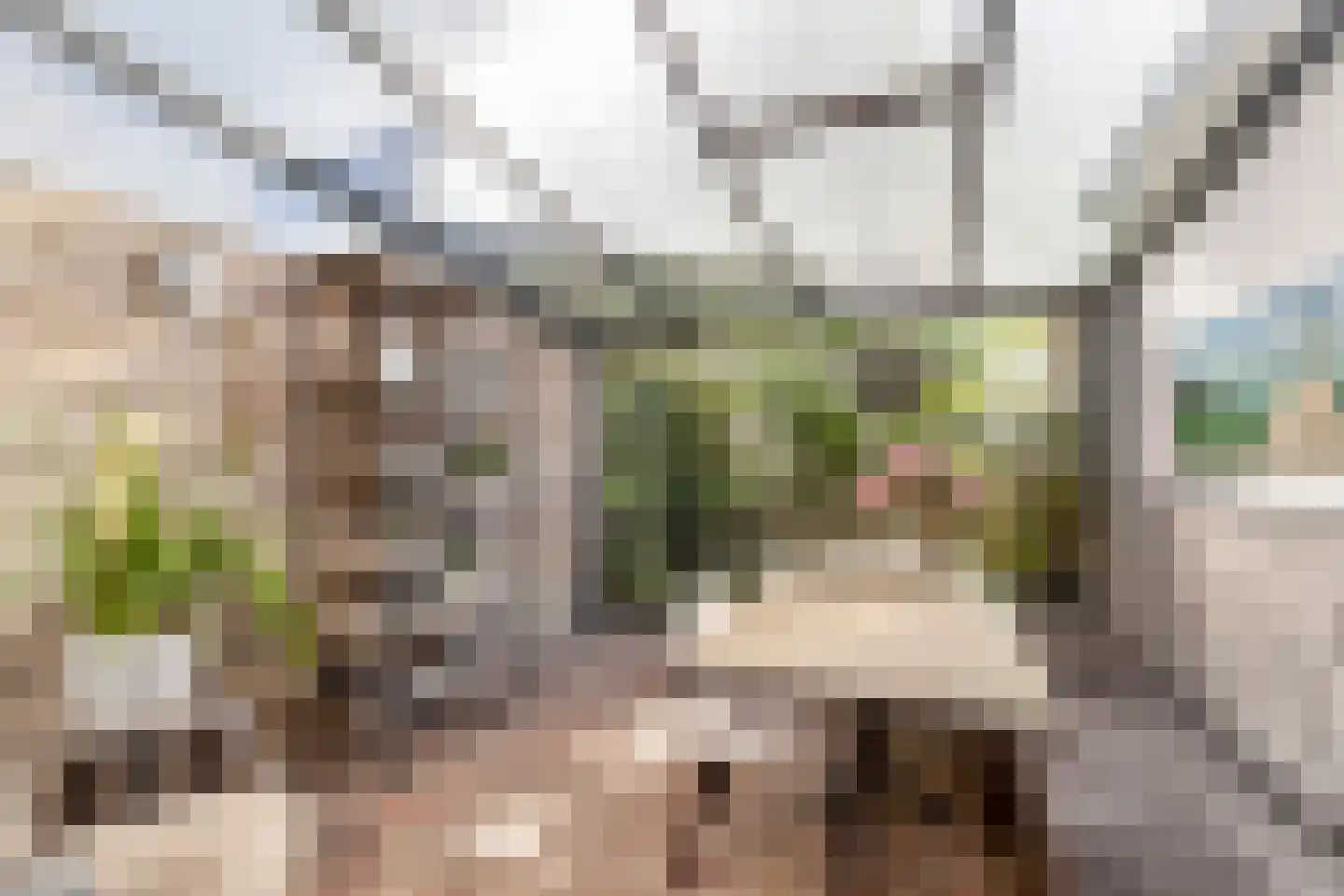 Vinkenbos 41 Ulvenhout thumbnail 23